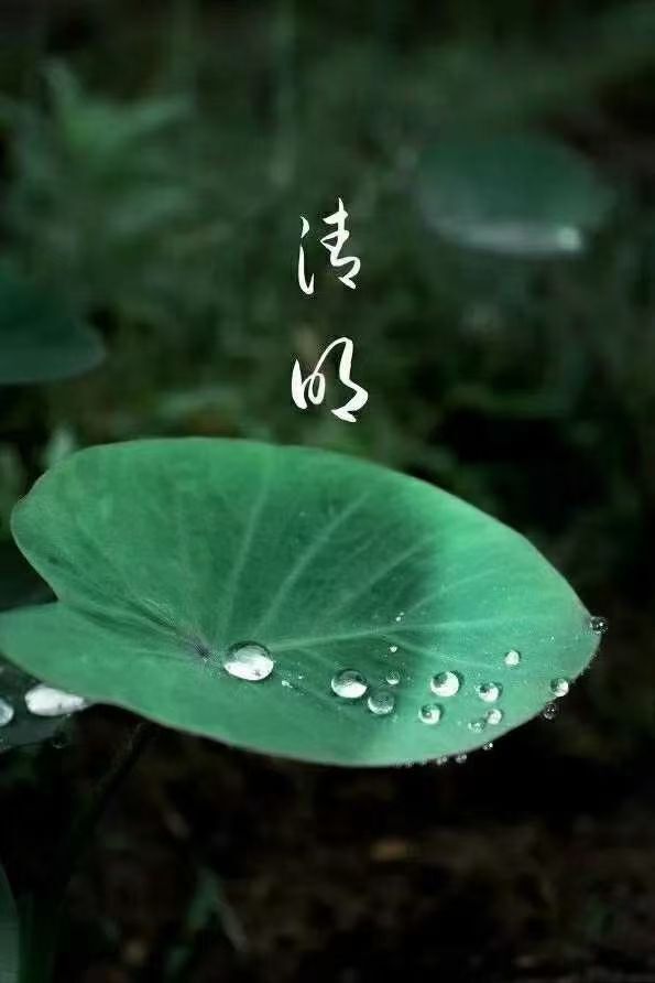 安琪同学的图片