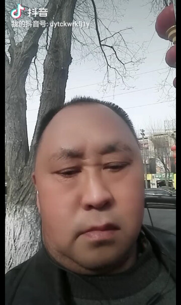 牛二为伴黄鹤楼相随余生足以