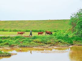 ♫天使じ♫团团主播照片