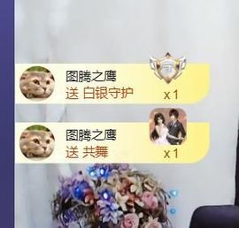 *菜园子*主播照片