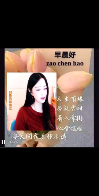 风姿花传