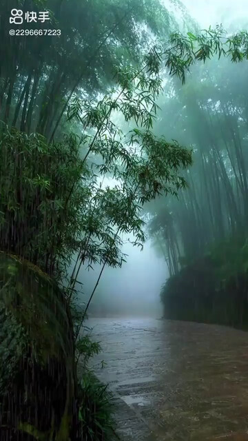 我的城市下雨了，你出