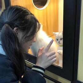 ━☆简希づ休息中主播照片