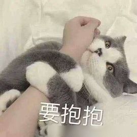 💙欣宝吖（暂休）主播照片