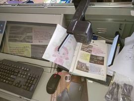果果(平安好运)主播照片