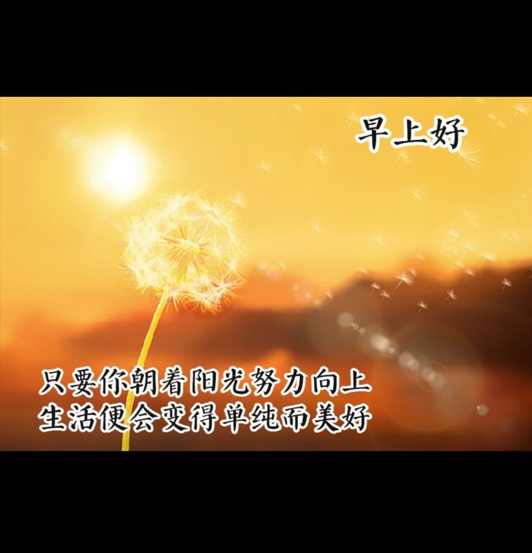 ♬默默✨小蛮宝☞🌜的图片