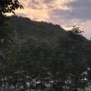 東方紅)：曙東的頭像
