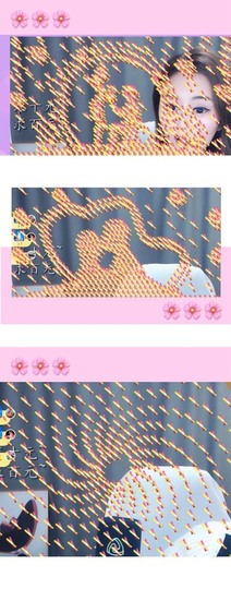 跑调嘉💟休主播照片
