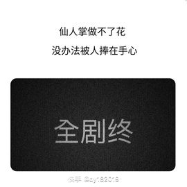 二蛋滑板鞋主播照片