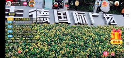 ……若主播照片
