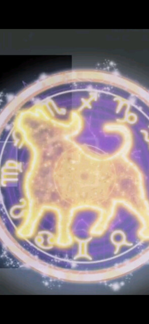 感谢四哥经常给我不一