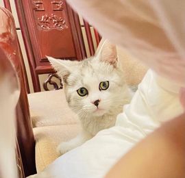 猩猩★主播照片