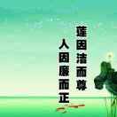 毛老师y