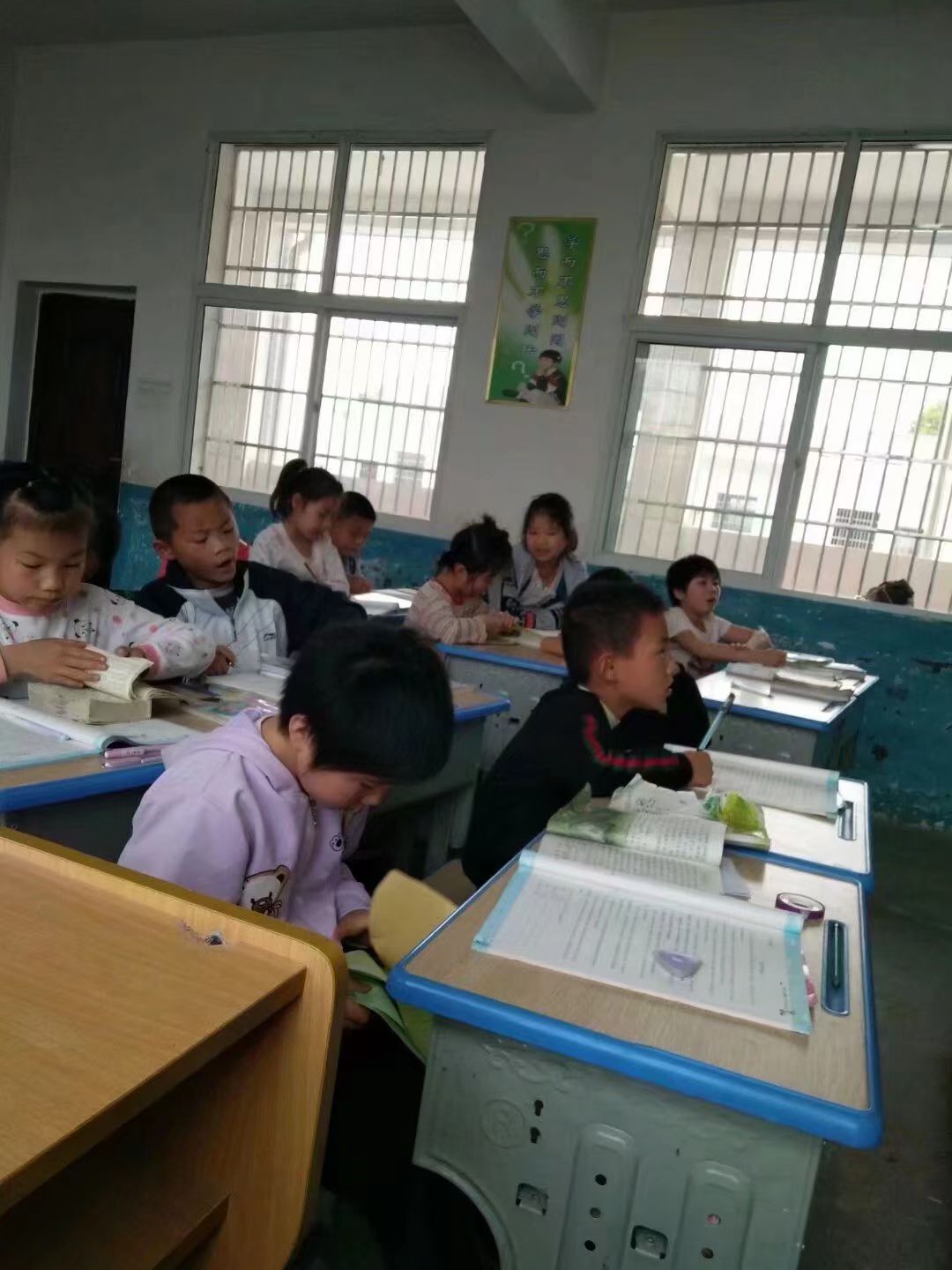 果果(平安好运)的图片