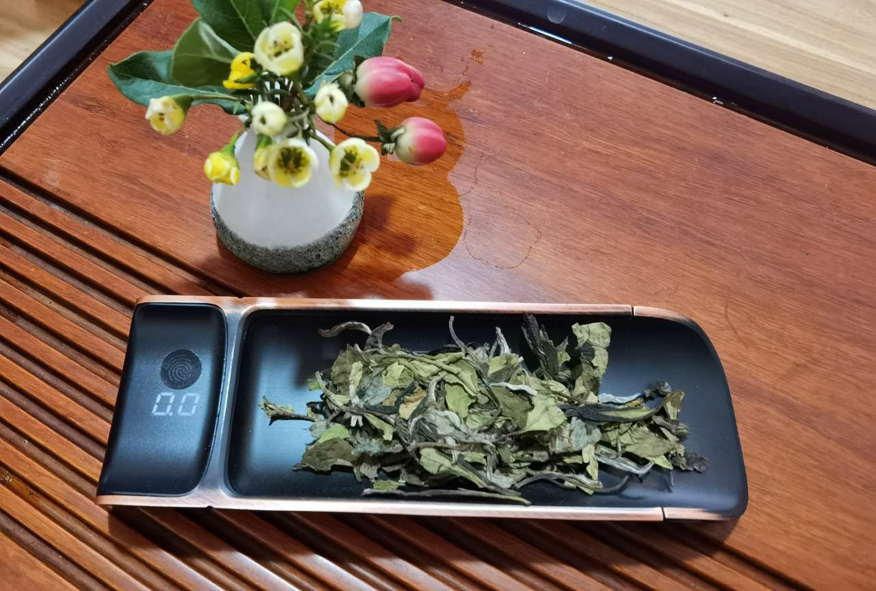 x顺其自然1的主播照片