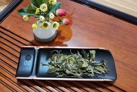 x顺其自然1的图片