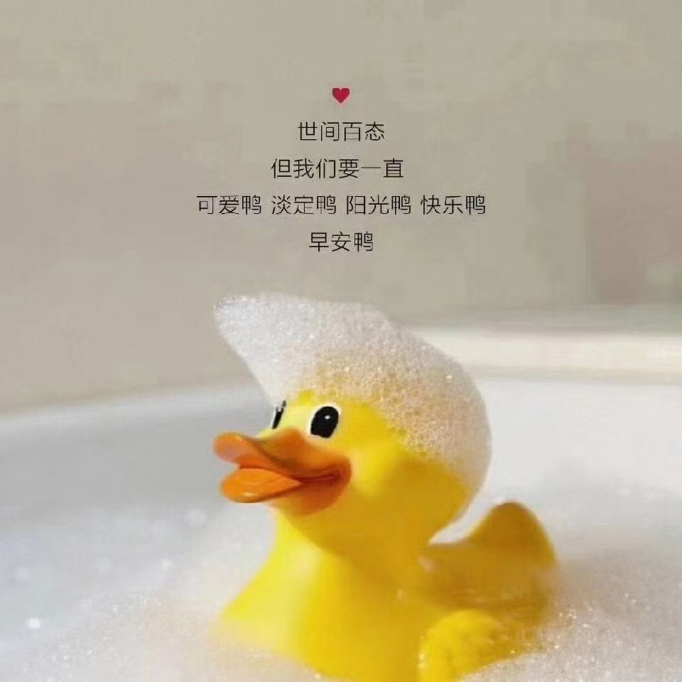 安琪同学的图片
