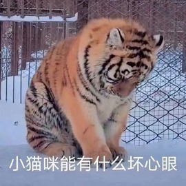 小老虎🎀休主播照片