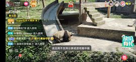 别了，聊聊天主播照片