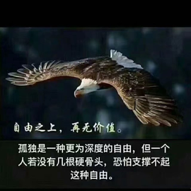 დ释怀დ主播照片