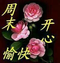此栏省略主播照片