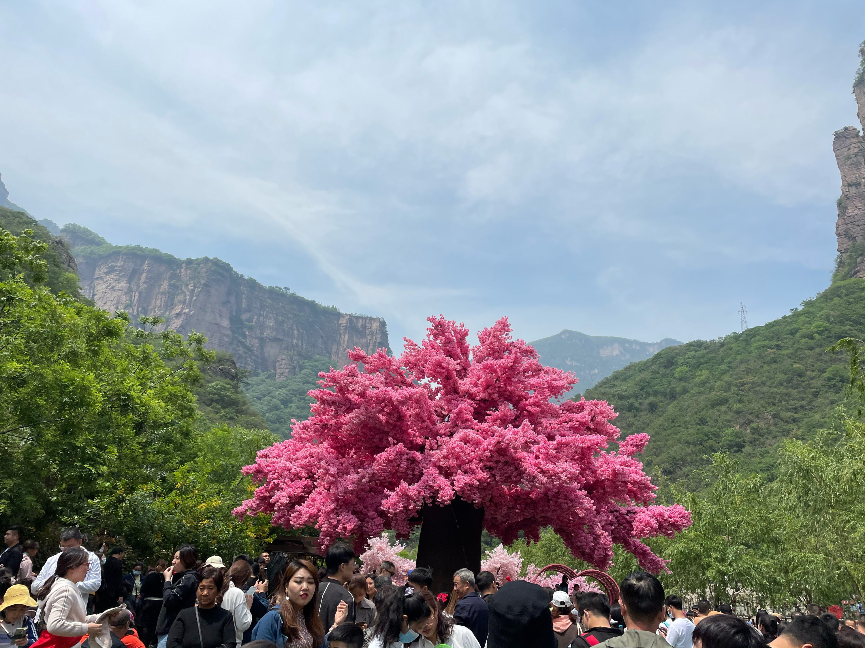 夏日限定然然的主播照片