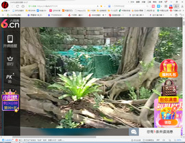 保利哥主播照片