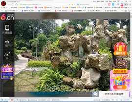 保利哥主播照片