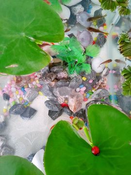 素雅依依暂休主播照片