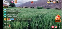 ……若主播照片