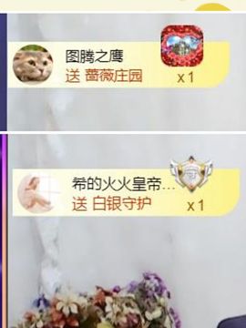 *菜园子*主播照片
