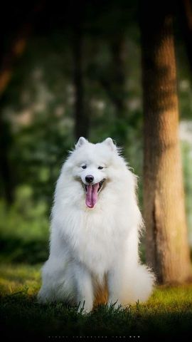 ❤❤❤奞犘❤❤❤主播照片