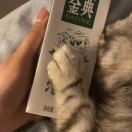 猫与顾巷🐱海报