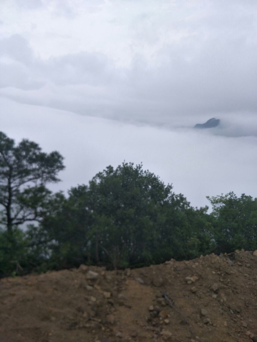 虹宝D包子的主播照片