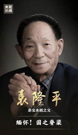 阳阳💕休主播照片
