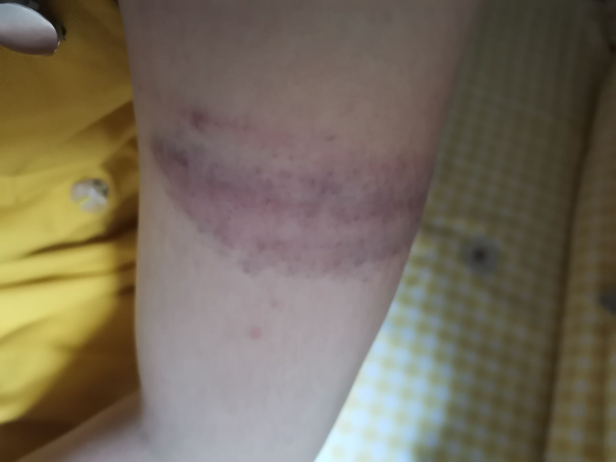 小黄黄黄黄黄.的图片