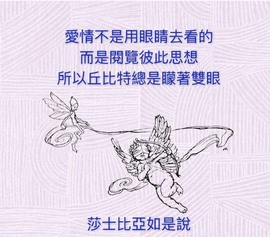 紫霞砍跑的至尊宝主播照片