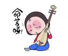 参会人数主播照片