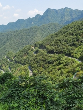 水水战神主��播照片