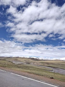 ……若主播照片