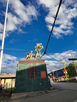 ……若主播照片