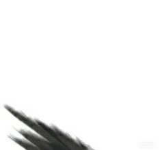 萌妃不甜了主播照片