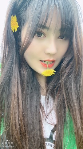 夋夋休息的图片