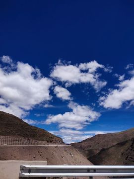 ……若主播照片