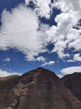 ……若主播照片