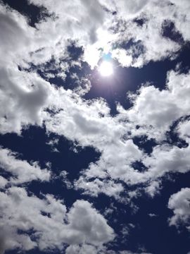 ……若主播照片