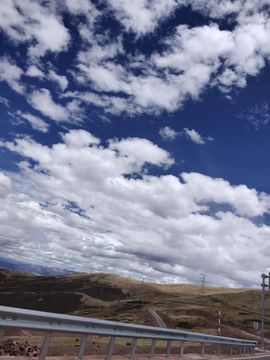 ……若主播照片