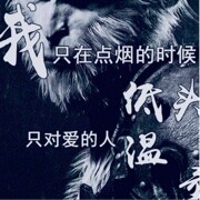 武宗领域