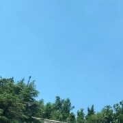 哇，真香～