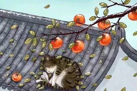 დ释怀დ主播照片